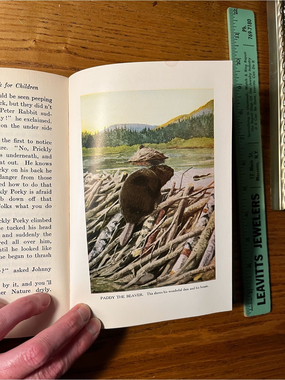 1920 Burgess Animal Book for Children - Hardcover color bookplates - Picture 10 of 16